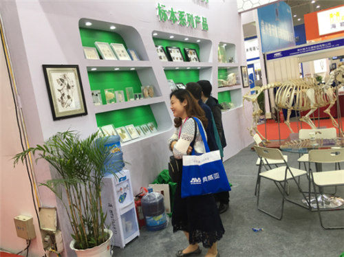 祝贺雨林参展4月教育“两会”圆满成功