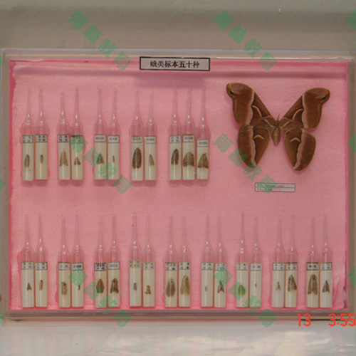 广东常见蛾类100种