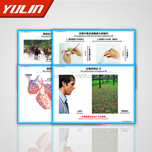 广东微生物及免疫教学挂图