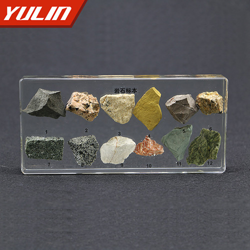 广东岩石包埋标本