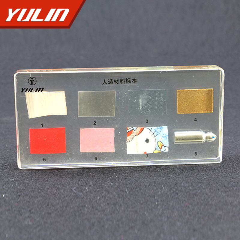 广东人造材料包埋标本