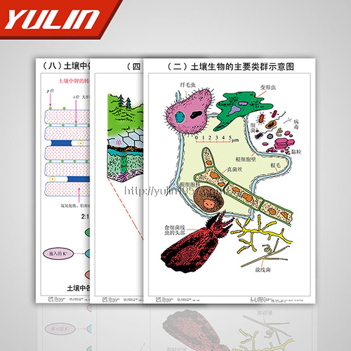 广东土壤肥料挂图