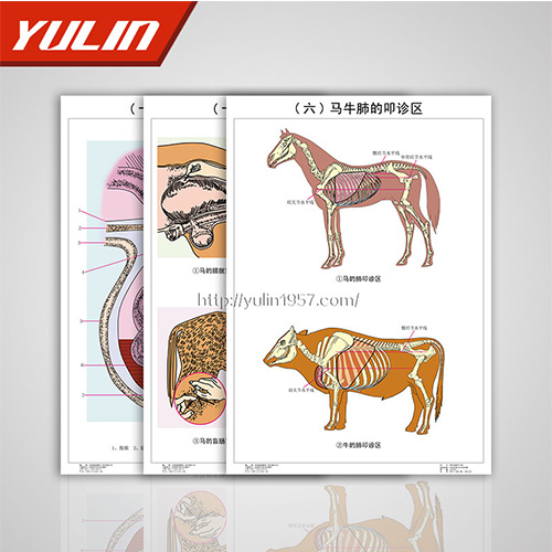 广东职业教育教学挂图